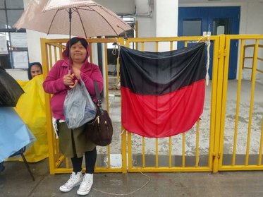 rsz_1eleocadio-primaveraobrera3