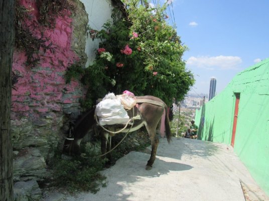 rsz_lylia-loma_burrito_mejor