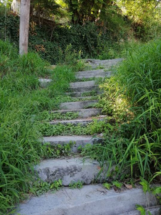 LUZ-INDEPE-Escalinata (2)