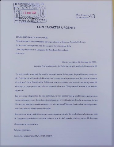 Pronunciamiento entregado 28mayo