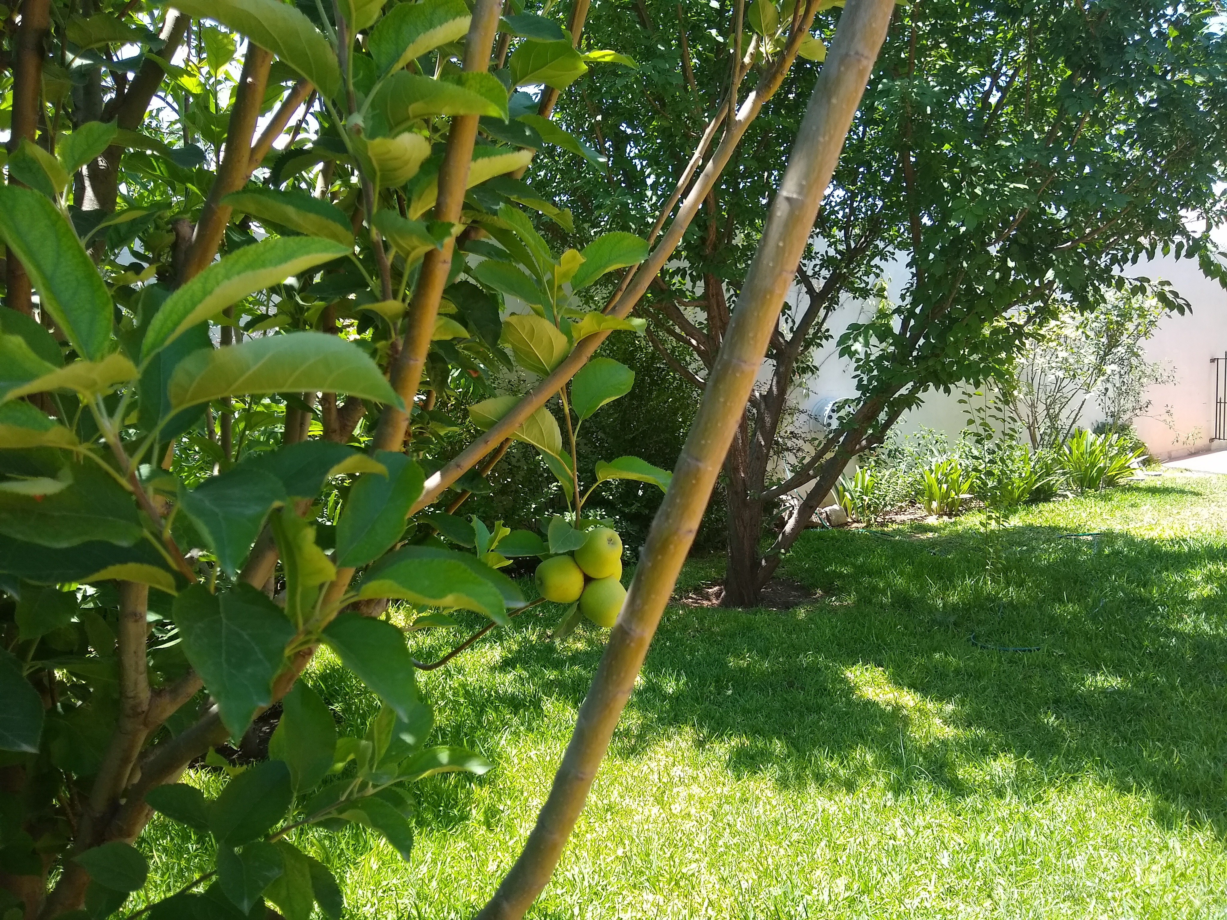 IMG_20200623_125835288