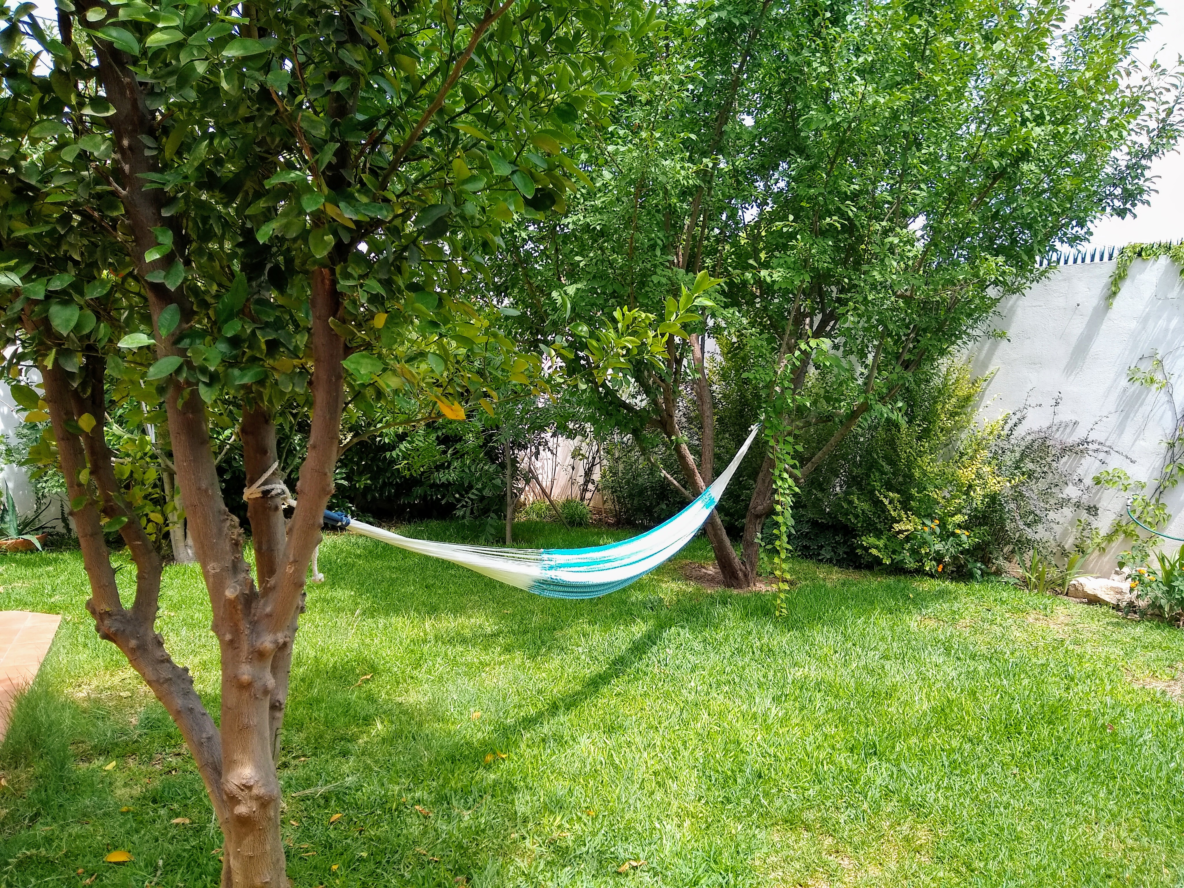 IMG_20200701_154610631